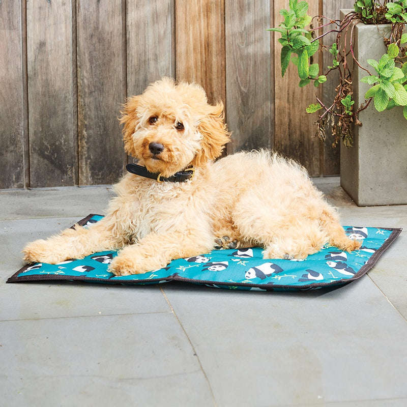 WeatherBeeta Patterned Pillow Dog Bed