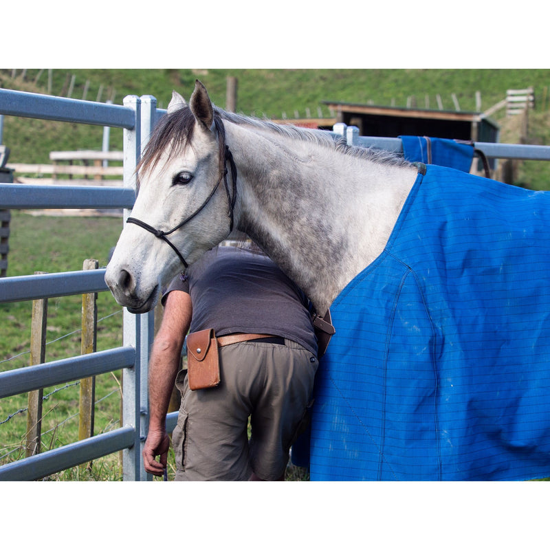 Flair C/Lock Stable Star Standard Horse Cover