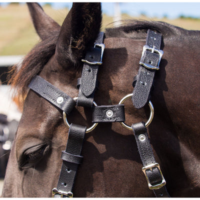 Easts Leather Double Head Station Bridle