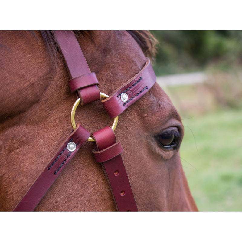 Easts Latigo Leather Double Stitched Station Bridle with Brass Fittings