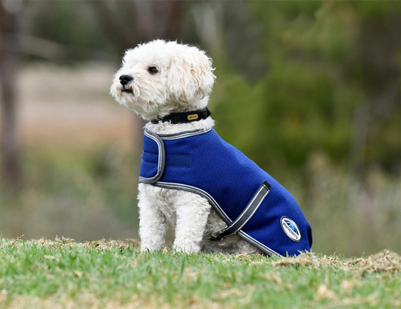 WeatherBeeta Comfitec Premier Free Parka Dog Coat