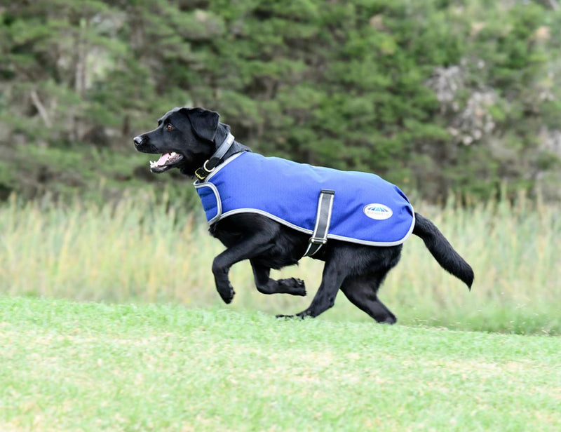 WeatherBeeta Comfitec Premier Free Parka Dog Coat