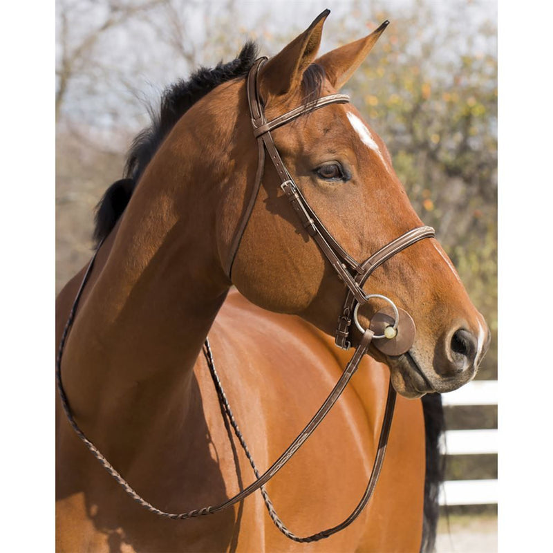 Horze Harrison Bridle