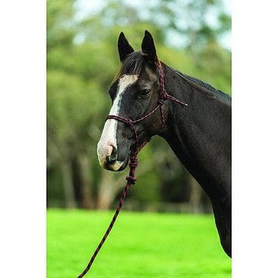 Saxon Two Tone Rope Headcollar And Lead Set