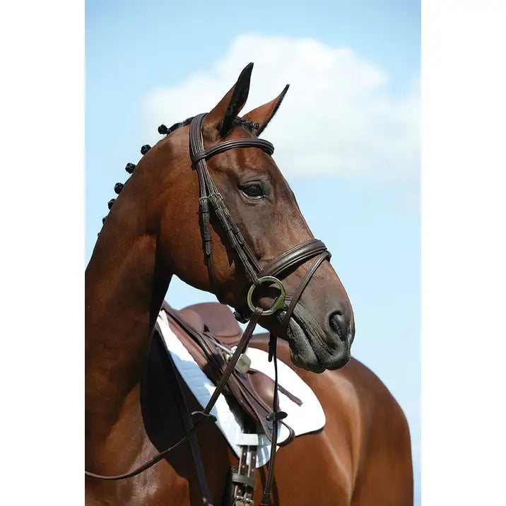Collegiate Syntovia + Padded Raised Flash Bridle