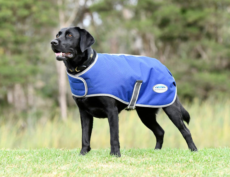 WeatherBeeta Comfitec Premier Free Parka Dog Coat