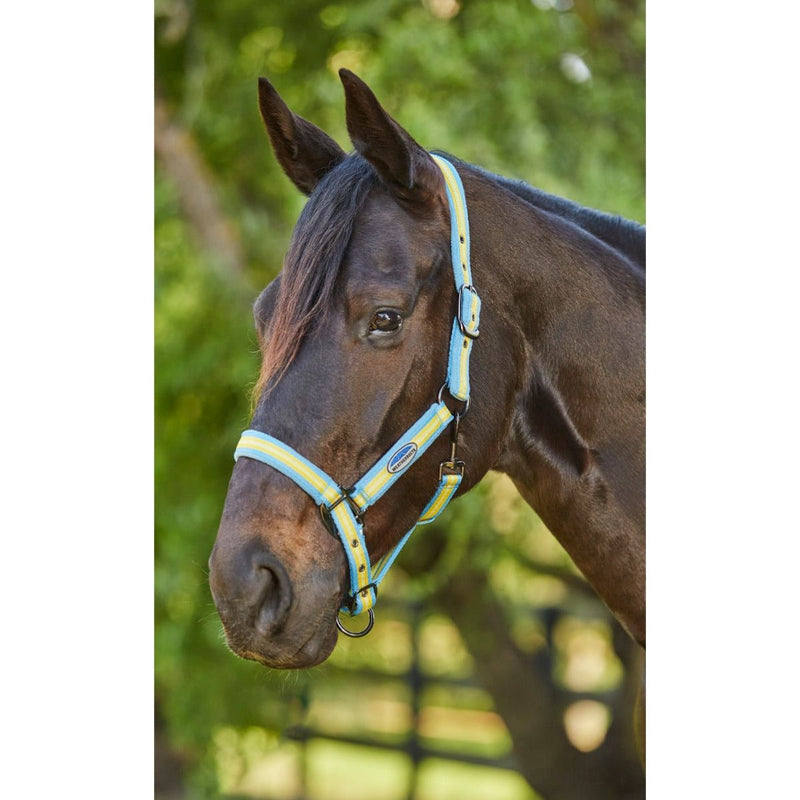 WeatherBeeta Coordinate Headcollar