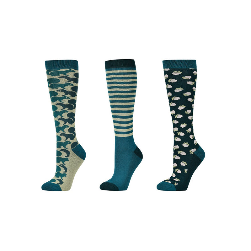 Dublin 3 Pack Socks - Adults