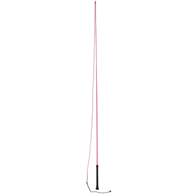 Dublin Brights Lunge Whip