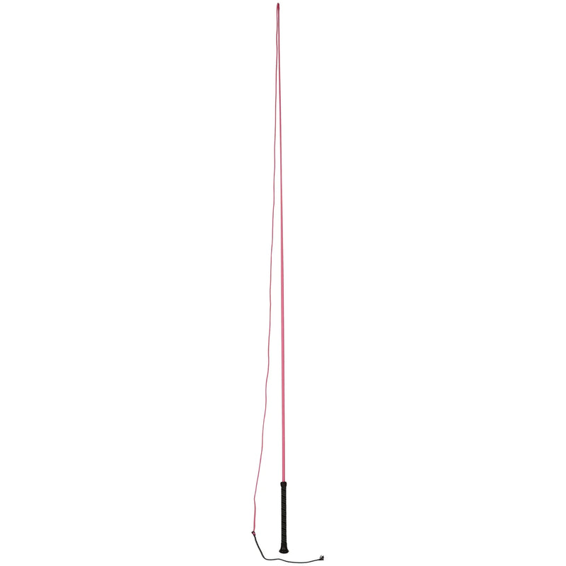 Dublin Brights Lunge Whip