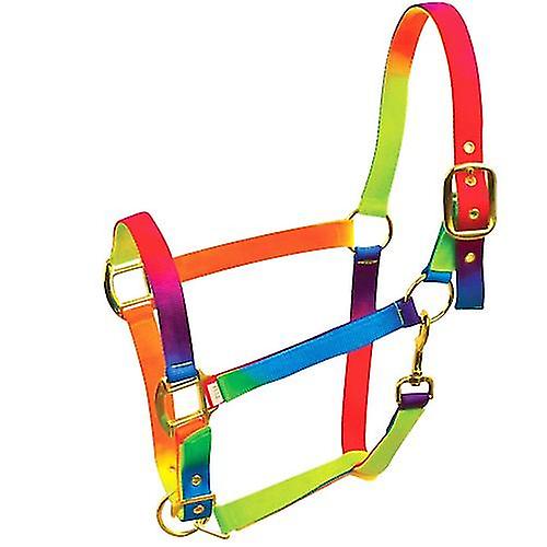 Roma Rainbow Headcollar