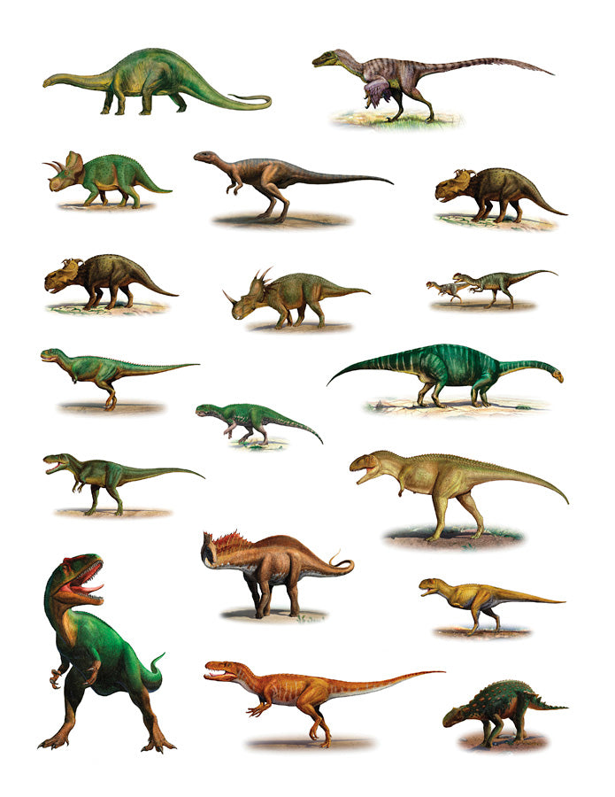 Pomegranate - Dinosaurs - Sticker Book