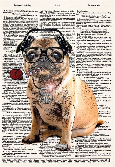 Pug DMC Birthday