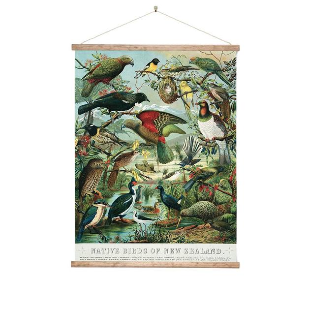 Native Birds of New Zealand Wall Chart