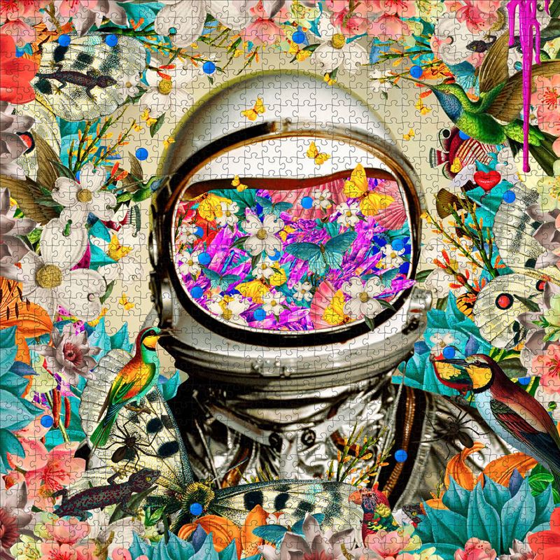 Pomegranate - Astronaut - 1000 Pce Puzzle