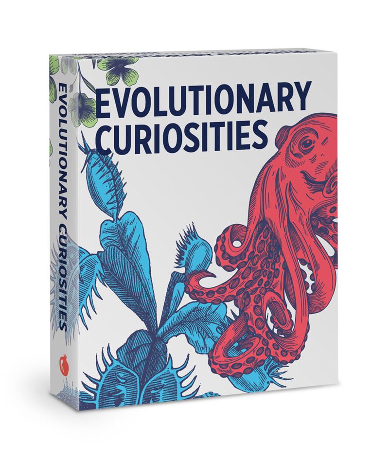 Pomegranate - Evolutionary Curiosities - Knowledge Cards