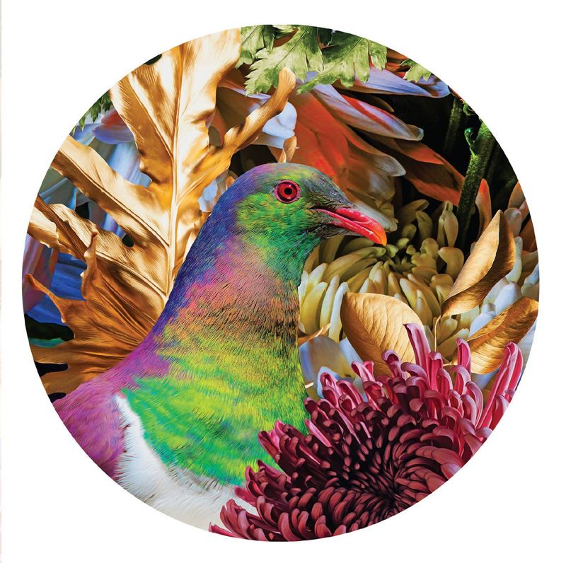 Lucy Gauntlett - Kereru&
