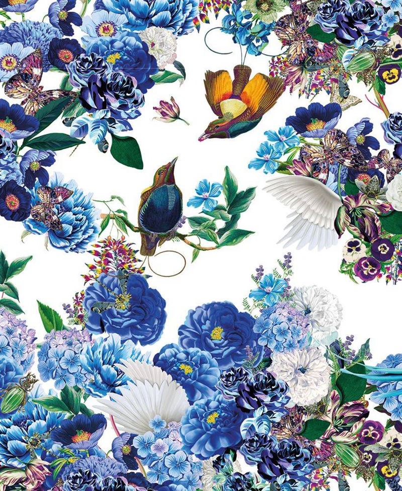 Museums & Galleries - Bluebirds - Card