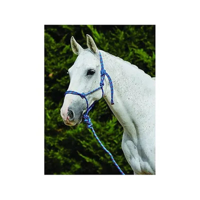 Saxon Two Tone Rope Headcollar And Lead Set