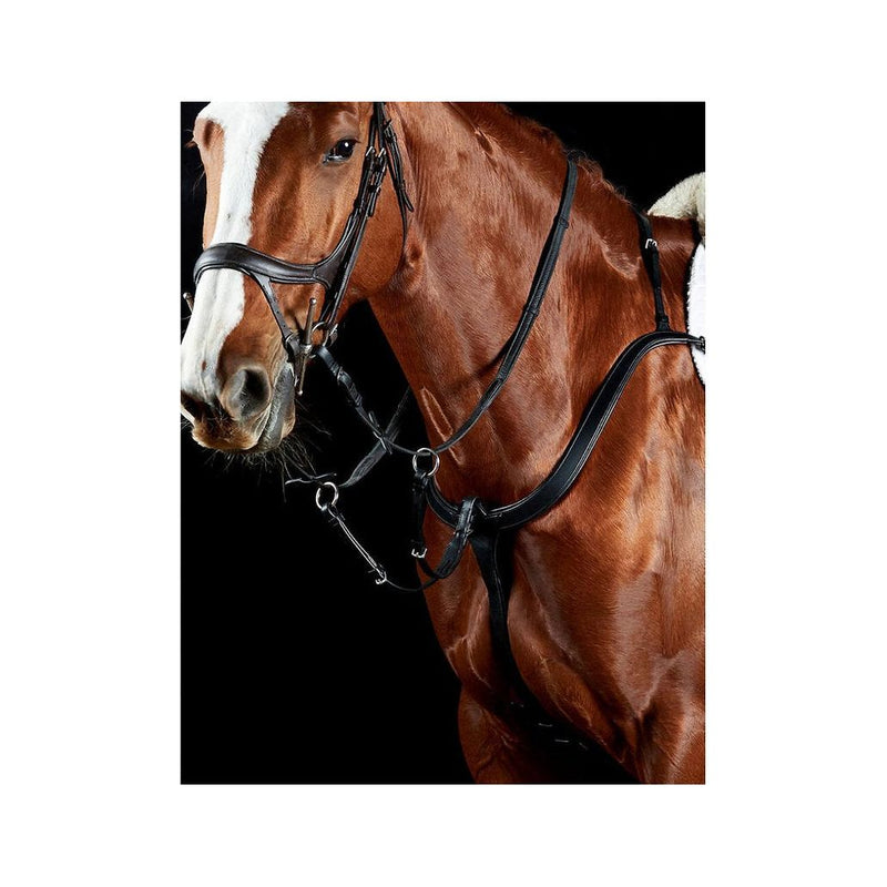 Collegiate Three Point Breastplate