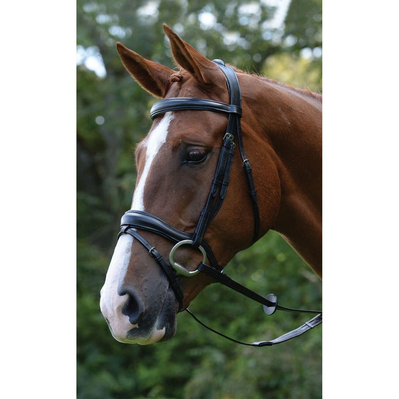 Kincade Comfort Anatomical Flash Bridle
