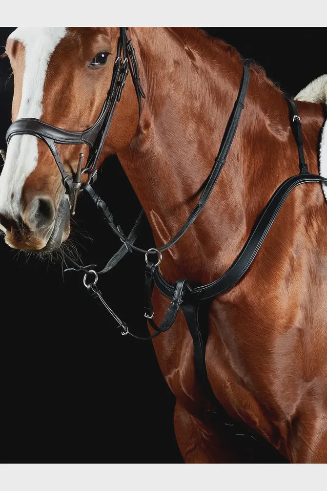 Collegiate Comfitec 3 Point Breastplate