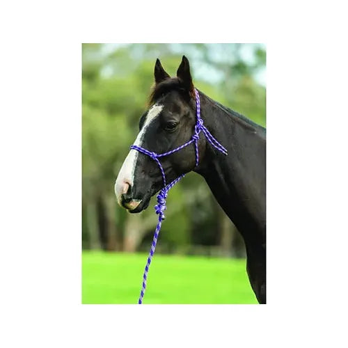 Saxon Two Tone Rope Headcollar And Lead Set
