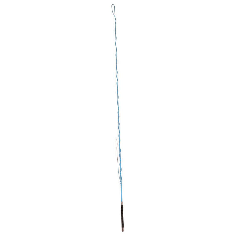 Dublin Brights Lunge Whip