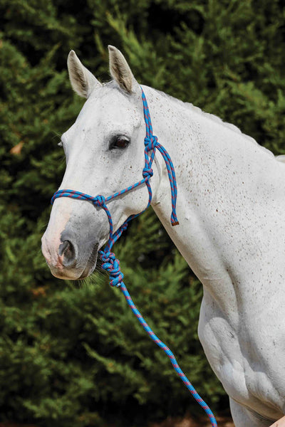 Saxon Two Tone Rope Headcollar And Lead Set