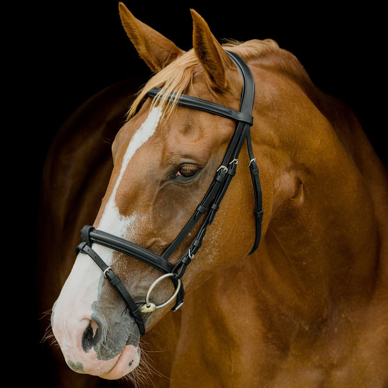 Platinum Shaped Raised Padded Bridle