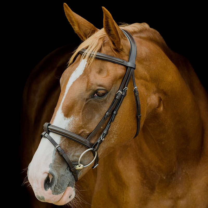 Platinum Shaped Raised Padded Bridle