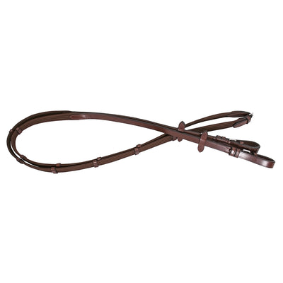 Platinum Webbing Reins