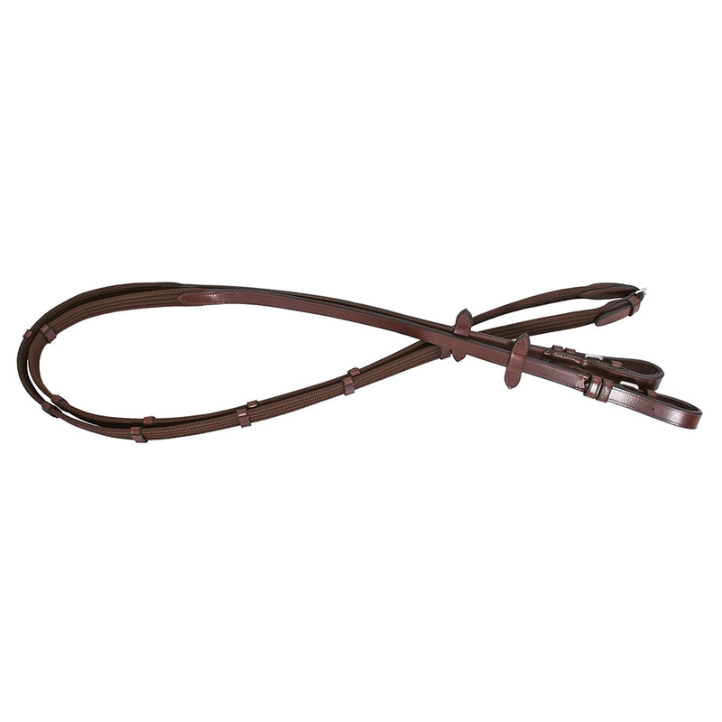Platinum Webbing Reins