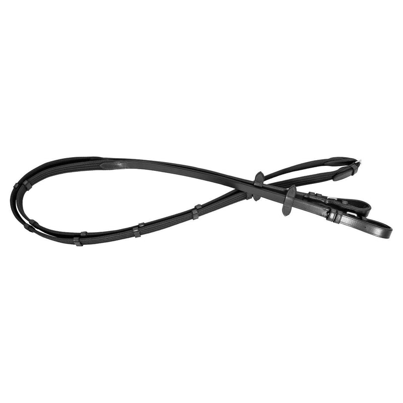 Platinum Webbing Reins