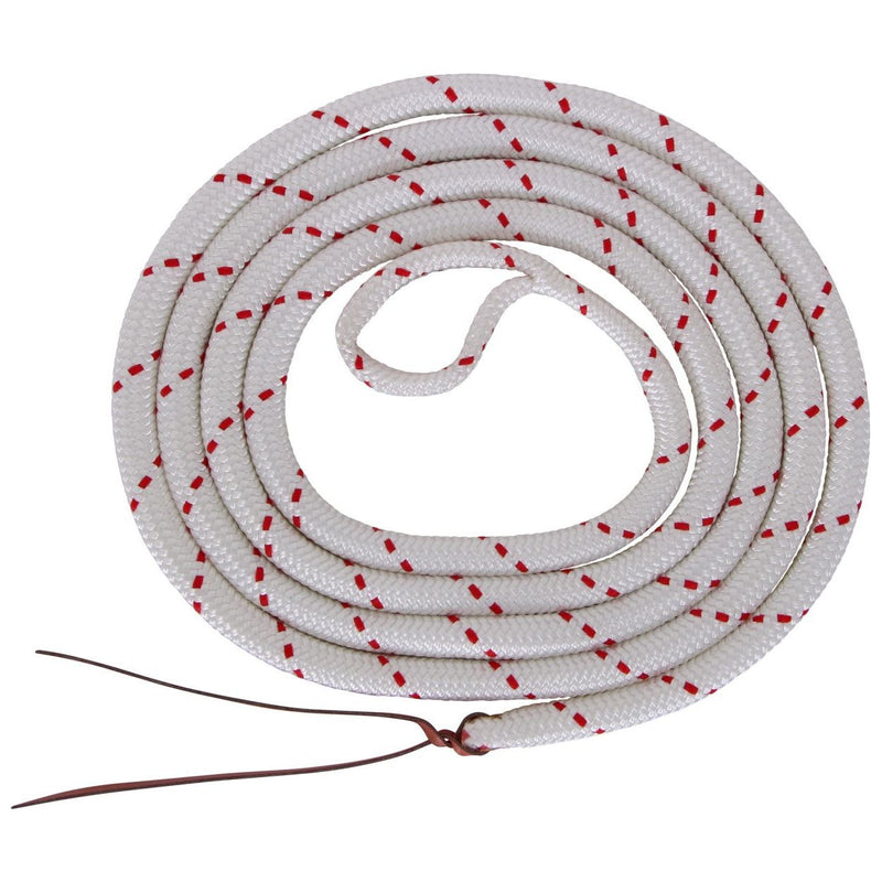 Blue Tag Horsemanship Lead