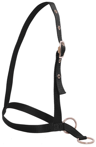 Nylon Webbing Calf Halter
