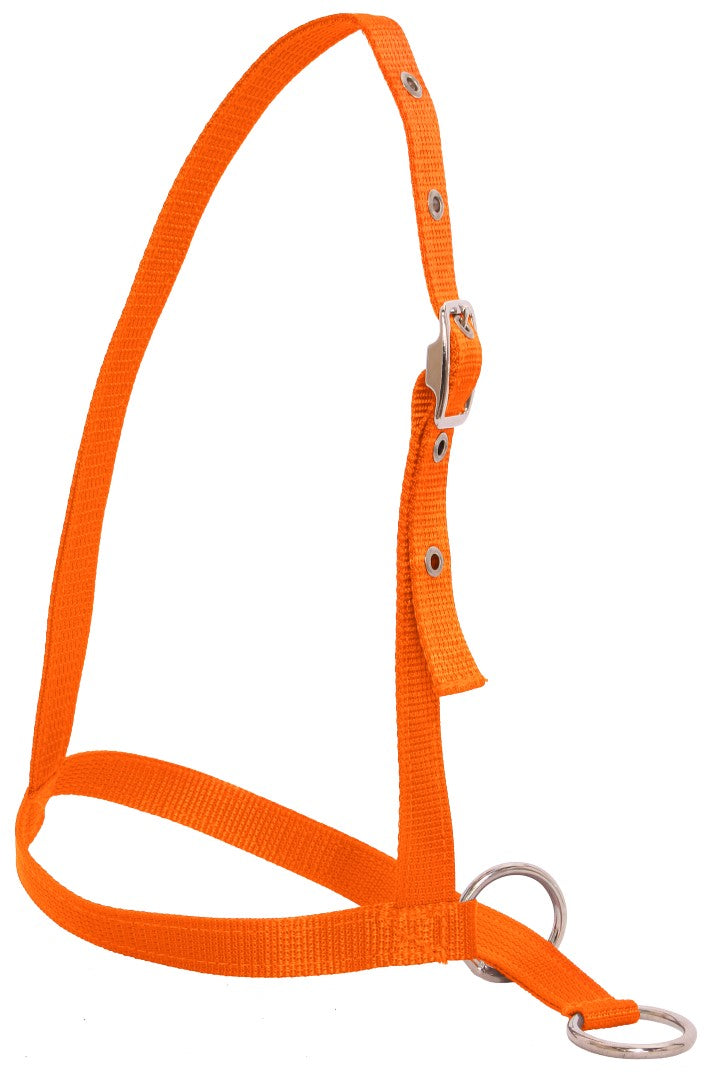 Nylon Webbing Calf Halter