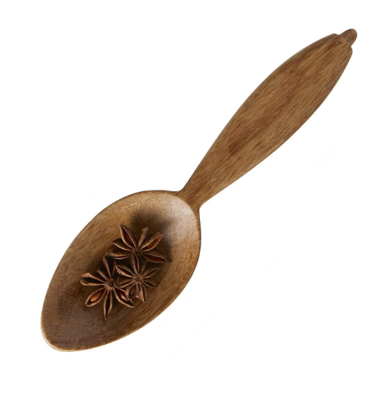 Large Server Spoon