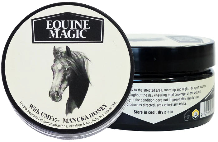 Equine Magic