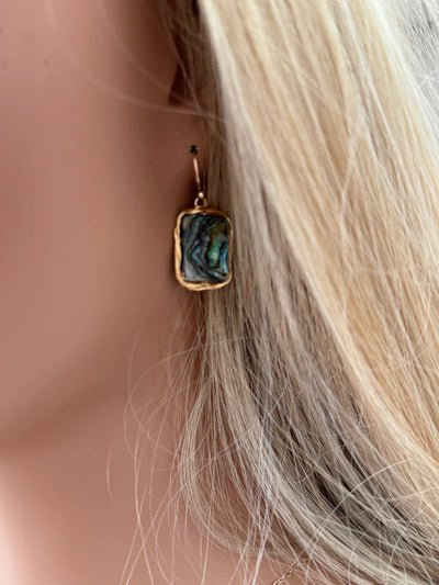 Twigg Wrapped Paua Shell Earrings