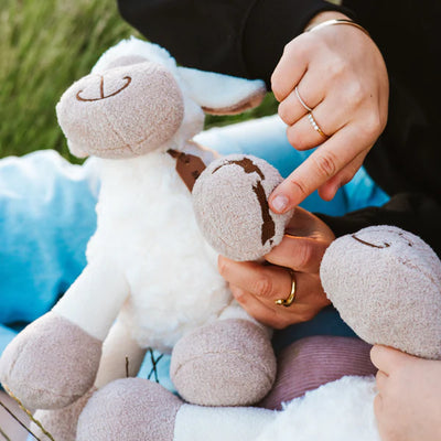 Moana Rd Soft Toy Sheep