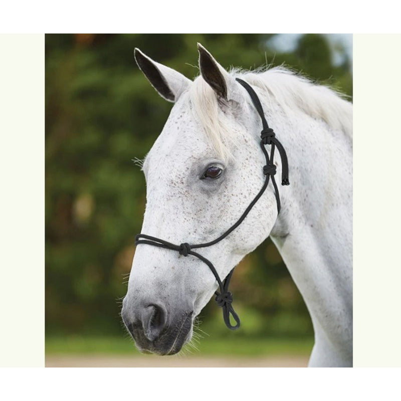 Roma Nylon Rope Headcollar
