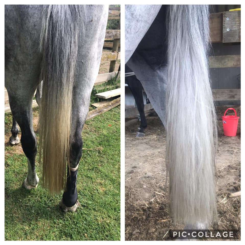Bee Kind - Showhite Shampoo - Toning Bar For Horses