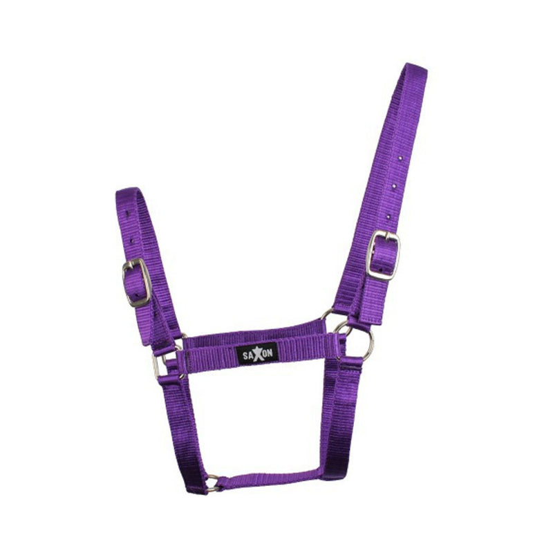 Saxon Economy Headcollar