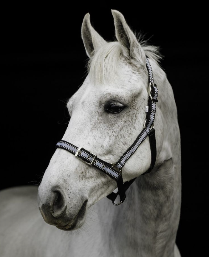 Flair Buck Stitched Halter - Black/Silver