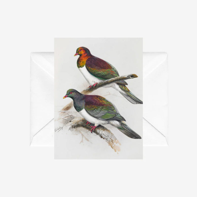 George Lodge Card - Kereru