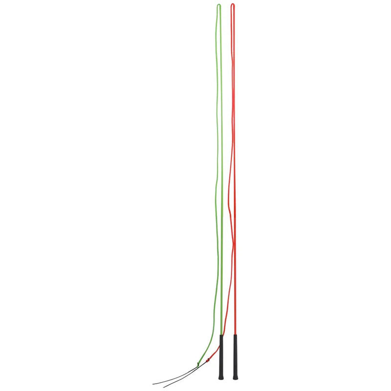 Blue Tag Lunge Whip
