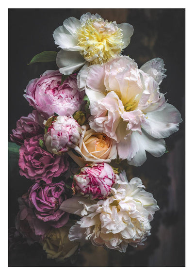 Greeting Cards + Vouchers