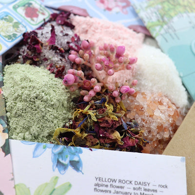 Anoint Green Tea and Clay Facial Mask