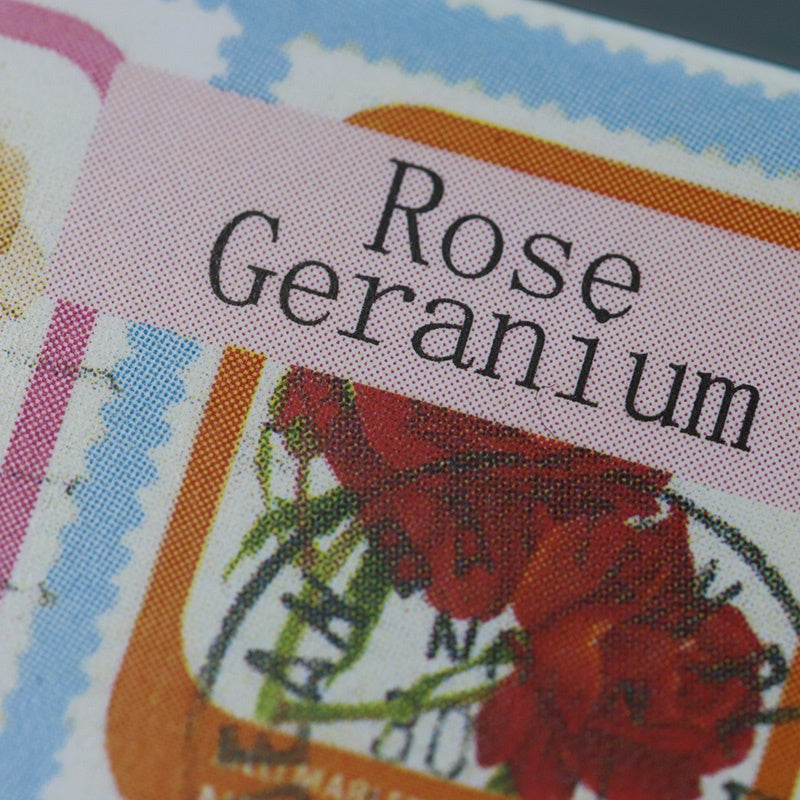 Anoint Rose Geranium Lotion Bar and Tin Set